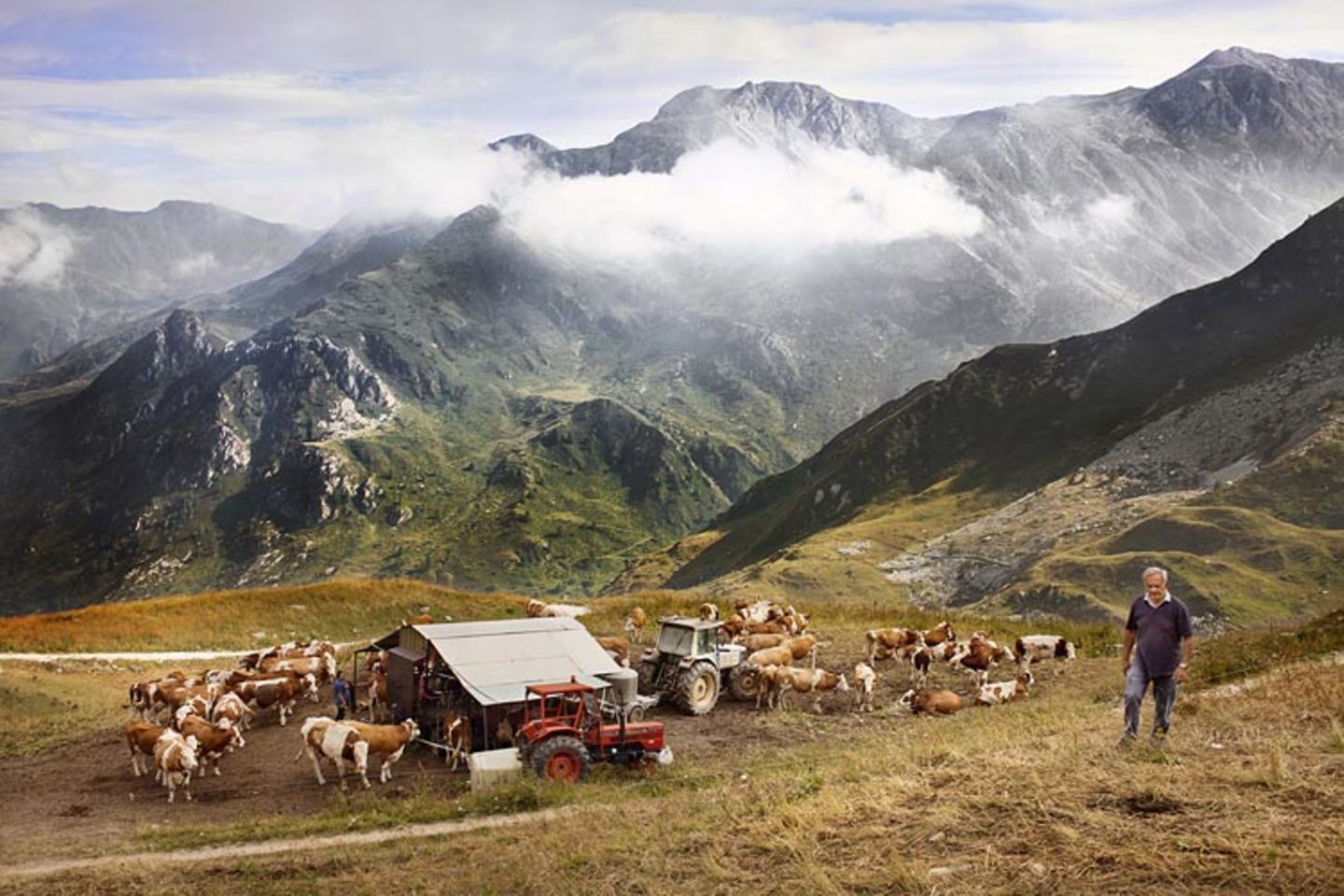 Kulinarik in Italien: Mehr als Pizza und Pasta - Bild 3