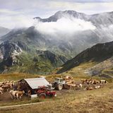 Kulinarik in Italien: Mehr als Pizza und Pasta - Bild 3