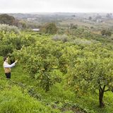 Kulinarik in Italien: Mehr als Pizza und Pasta - Bild 4