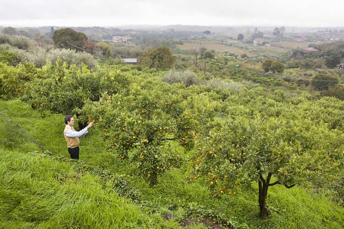 Kulinarik in Italien: Mehr als Pizza und Pasta - Bild 4