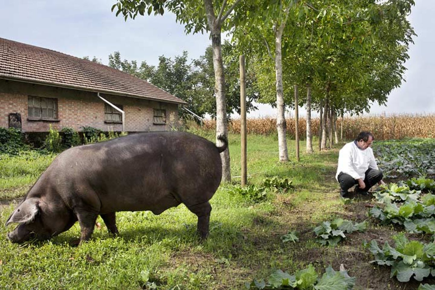 Kulinarik in Italien: Mehr als Pizza und Pasta - Bild 6