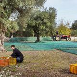 Kulinarik in Italien: Mehr als Pizza und Pasta - Bild 8