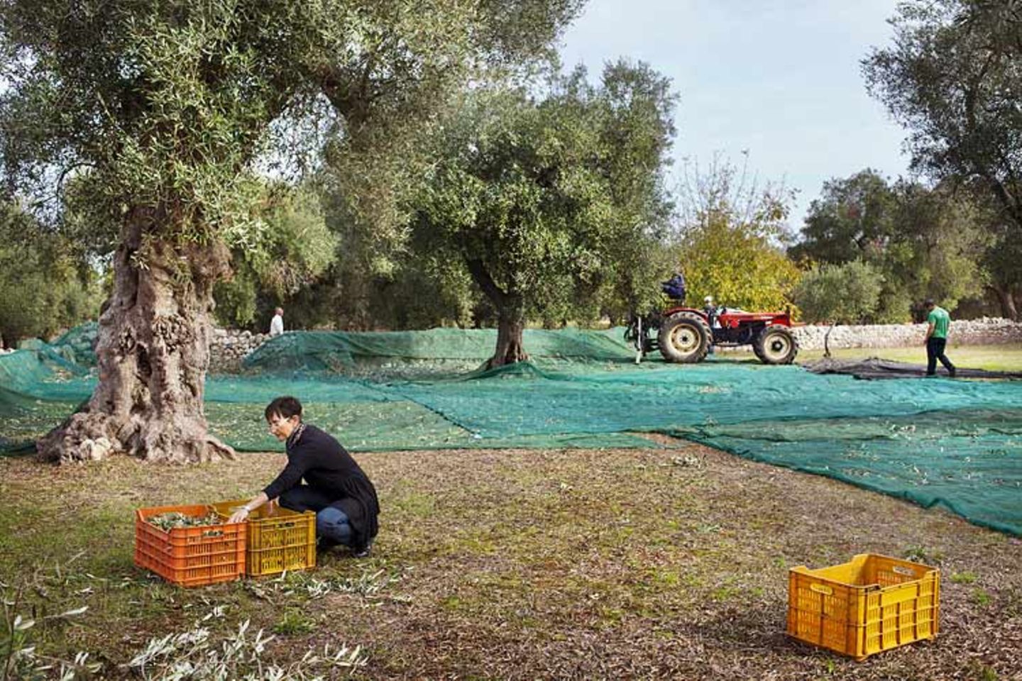 Kulinarik in Italien: Mehr als Pizza und Pasta - Bild 8