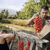 Kulinarik in Italien: Mehr als Pizza und Pasta - Bild 10