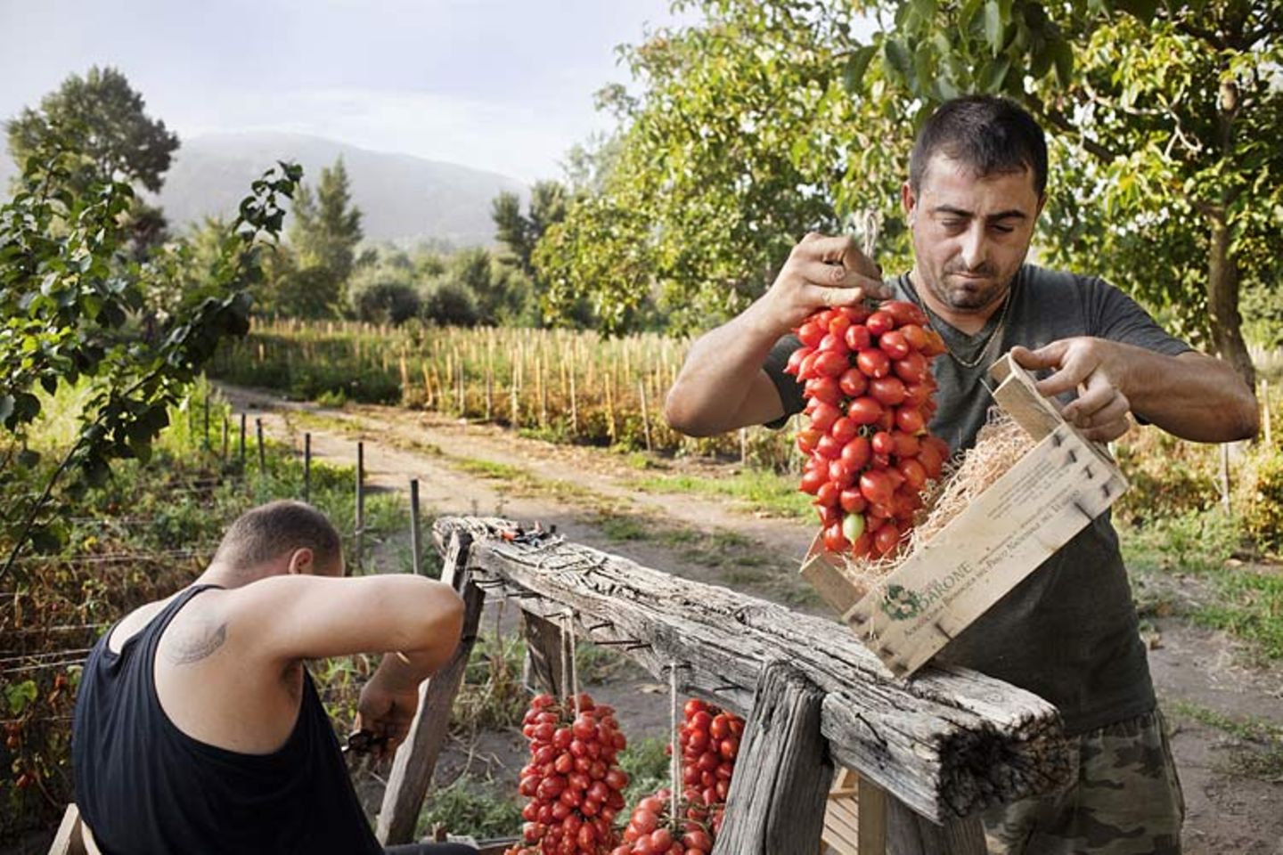 Kulinarik in Italien: Mehr als Pizza und Pasta - Bild 10