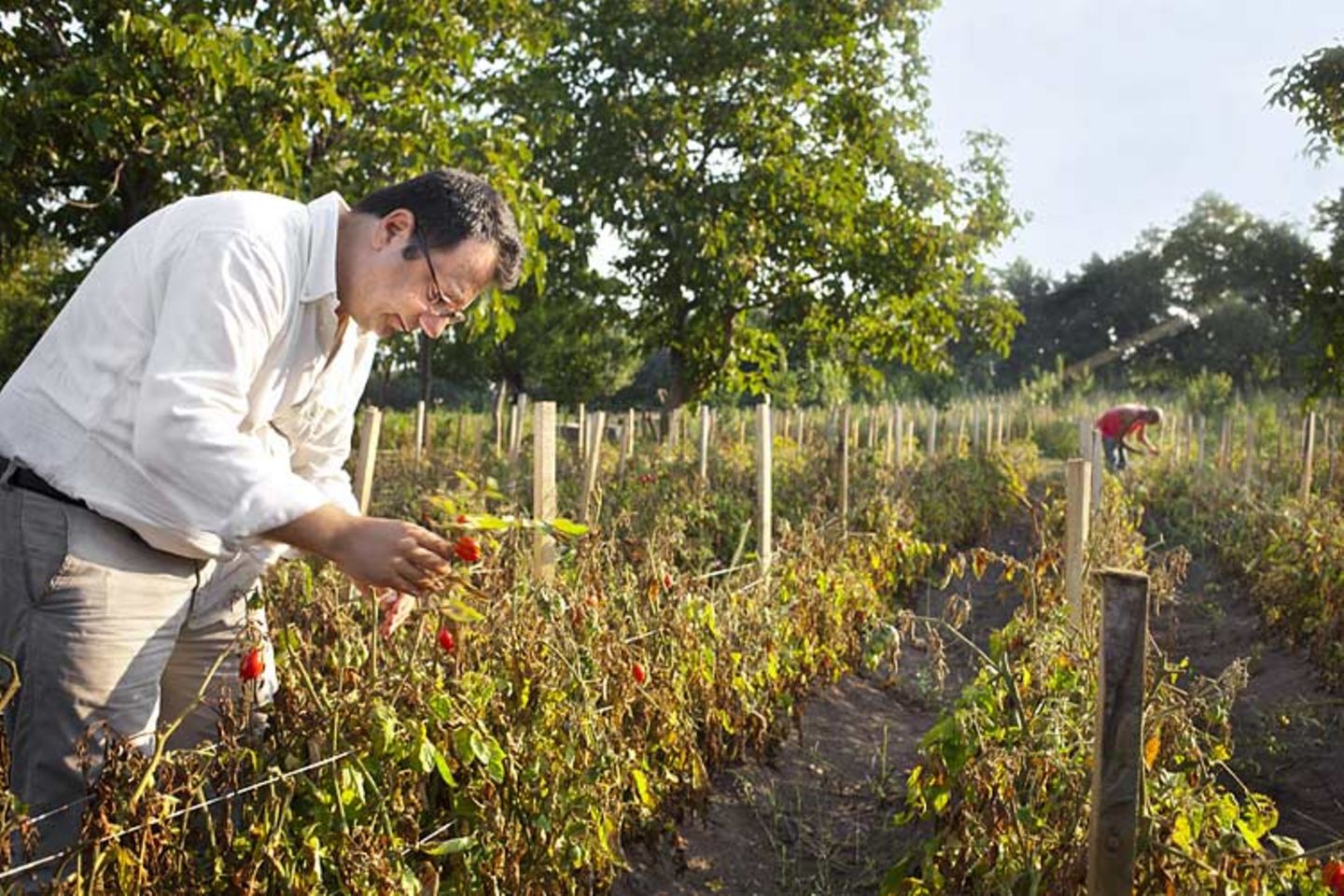 Kulinarik in Italien: Mehr als Pizza und Pasta - Bild 11