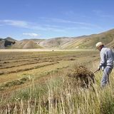 Kulinarik in Italien: Mehr als Pizza und Pasta - Bild 12