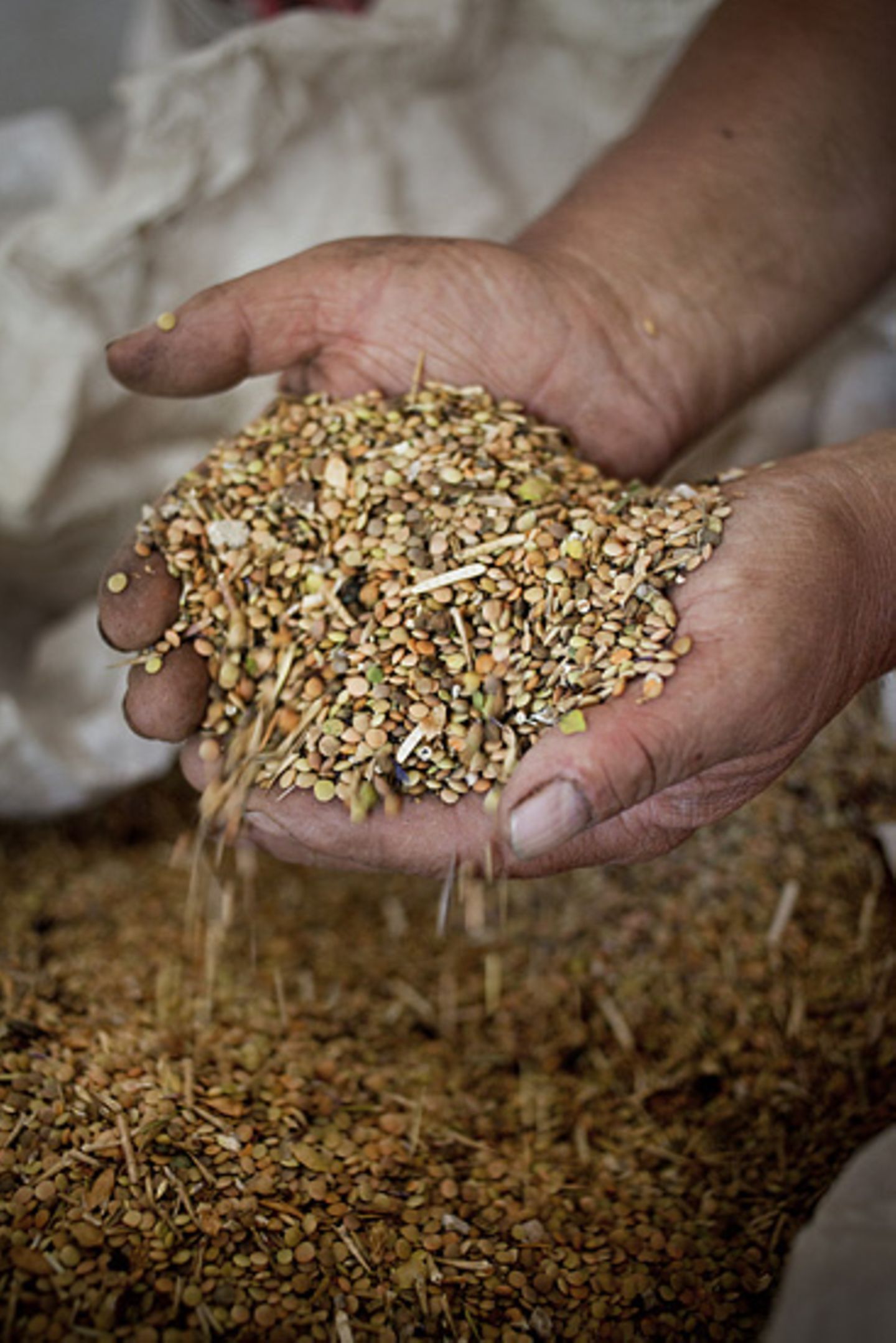 Kulinarik in Italien: Mehr als Pizza und Pasta - Bild 13