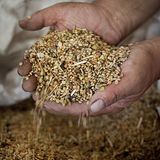 Kulinarik in Italien: Mehr als Pizza und Pasta - Bild 13