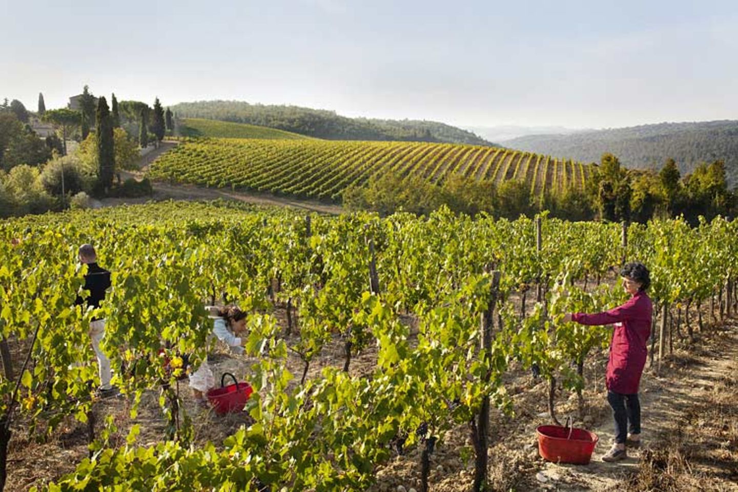 Kulinarik in Italien: Mehr als Pizza und Pasta - Bild 14