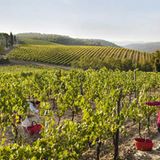 Kulinarik in Italien: Mehr als Pizza und Pasta - Bild 14