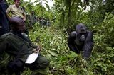 Virunga: Tod im Park
