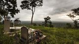 Virunga: Tod im Park - Bild 2