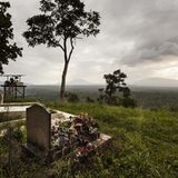 Virunga: Tod im Park - Bild 2