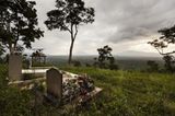 Virunga: Tod im Park - Bild 2