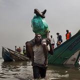 Virunga: Tod im Park - Bild 3