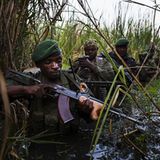 Virunga: Tod im Park - Bild 12