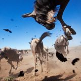 Fotogalerie: Verdammt nah dran! - Bild 2