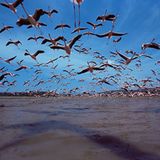 Fotogalerie: Verdammt nah dran! - Bild 6