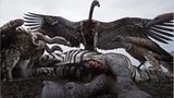 Fotogalerie: Verdammt nah dran! - Bild 7