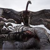 Fotogalerie: Verdammt nah dran! - Bild 7