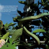 Perfekt versteckt - Bild 3