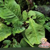 Perfekt versteckt - Bild 4