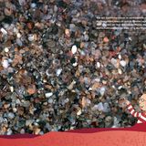 Perfekt versteckt - Bild 8