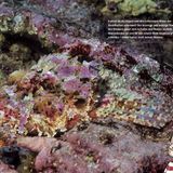 Perfekt versteckt - Bild 9