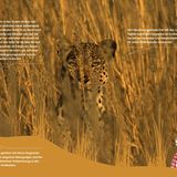 Perfekt versteckt - Bild 11