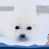 Perfekt versteckt - Bild 12