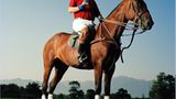 Präsident und Inhaber des Sunny Times Polo-Club, Unternehmer