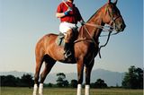 Präsident und Inhaber des Sunny Times Polo-Club, Unternehmer