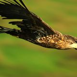 Fotoshow: "Deutschland von oben" - Bild 8