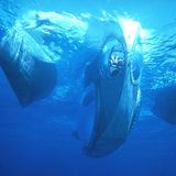 Fotogalerie: Der Architekt und das Meer - Bild 5