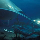 Fotogalerie: Der Architekt und das Meer - Bild 8