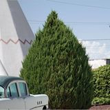 Wigwam Motel, Holbrook, Arizona