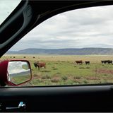 Von Seligman nach Peach, Springs Arizona