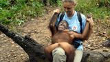 Orang-Utans: Zurück in die Freiheit - Bild 3