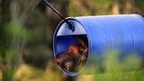 Orang-Utans: Zurück in die Freiheit - Bild 10