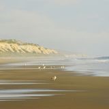 Playa de Matalascanas, Spanien
