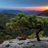 Nationalpark Sächsische Schweiz