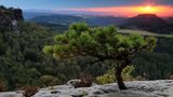 Nationalpark Sächsische Schweiz