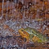 Fotogalerie: Fotogalerie: Naturschätze Europas