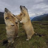 Fotogalerie: Fotogalerie: Naturschätze Europas - Bild 3