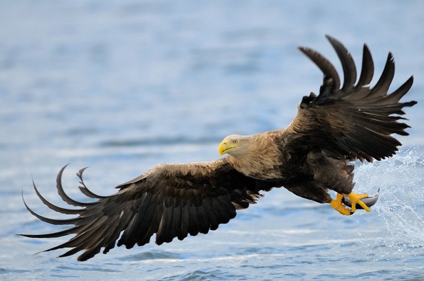 Fotogalerie: Fotogalerie: Naturschätze Europas - Bild 5
