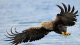 Fotogalerie: Fotogalerie: Naturschätze Europas - Bild 5