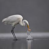 Fotogalerie: Fotogalerie: Naturschätze Europas - Bild 7