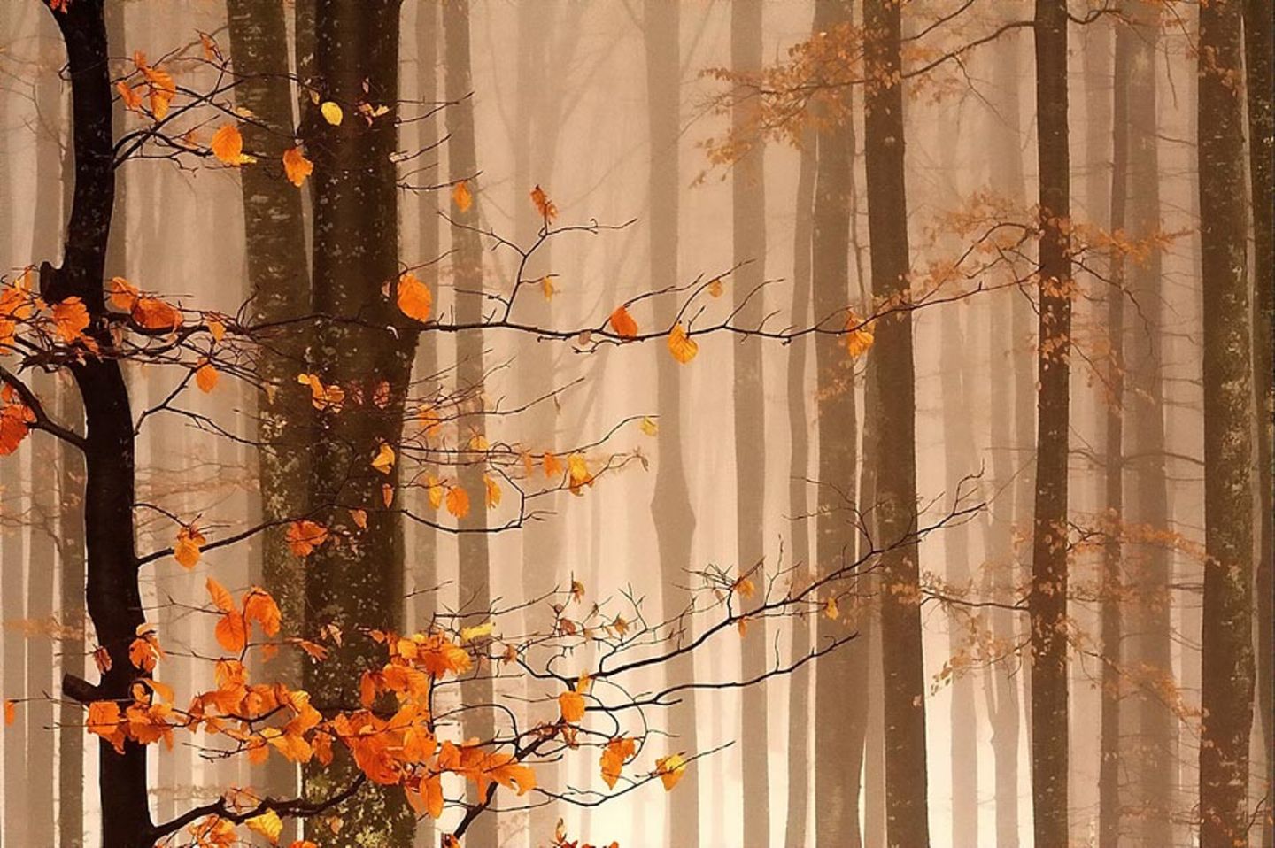 Fotogalerie: Fotogalerie: Naturschätze Europas - Bild 8
