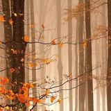 Fotogalerie: Fotogalerie: Naturschätze Europas - Bild 8